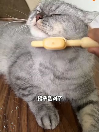 猫咪狗狗梳子去浮毛神器宠物自洁针排梳长短毛除毛专用清理梳毛刷#宠物梳子 #去浮毛神器 #猫狗通用 #自洁梳 #宠物用品