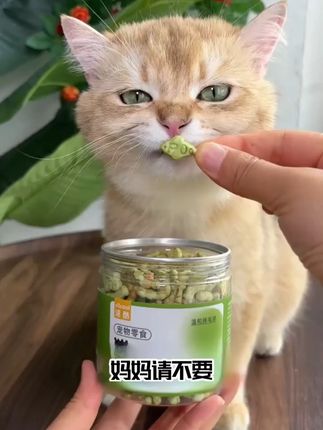 养猫人一定要记得经常给猫咪排毛的,不然它就会呕吐,精神萎靡。#猫零食  #猫咪零食   #猫草饼干  #猫咪排毛  #猫草