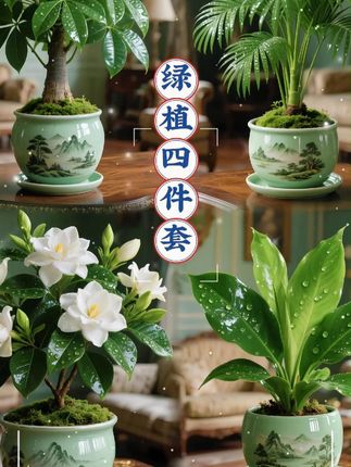 这价格到手4颗绿植组合,不用浇水~连盆都配齐,也太合适啦! 家里摆放些绿植,生机勃勃的看着心情都舒畅~#室内盆栽 #净化空气 #绿植 #新鲜空气