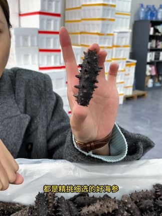 买海参到源头工厂 #海参#滋补品#营养#广告