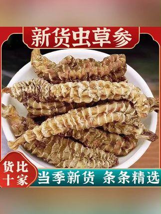 云南虫草参地参干货白虫草竹节参草石蚕煲汤泡酒#云南虫草参 #虫草参 #虫草参煲汤怎么做