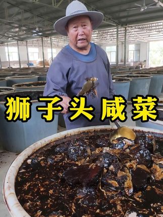 山东沂蒙土特产狮子头咸菜,68元一斤,一缸800斤咸菜近6万 脱水一年,黄豆酱油腌制三年,共四年时间,腌制时间长,一年换两次大料和酱油,一年腌制成本一缸近一万元,3年换6次近6万元,工序复杂,酱香浓郁,口感脆爽,回头客很多#老手艺 #地道美食 #地方美食 #沂蒙狮子头咸菜 #狮子头咸菜