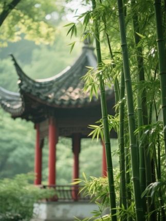 著名作家刘震云的字字珠玑,让女人心动的话到底是什么? #刘震云 #一句顶一万句