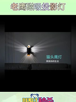 简约创意老鹰壁灯,磁吸投影充电小夜灯照亮家! #充电壁灯 #创意壁灯 #投影壁灯 #简约创意灯 #老鹰壁灯