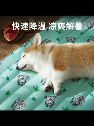 一天比一天热了,家里有猫狗的给它安排这个凉而不冰的大冰垫了吗?睡着舒服毛孩子很喜欢!#科学养宠攻略 #萌宠好物 #一天比一天热 #宠物 #凉快舒服