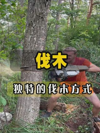 大叔掌握了伐木的独特技巧,他可以完美的避开,伐木出现的事故#有趣的冷知识 #科普一下 #奇闻趣事