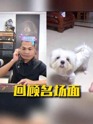 这狗看着就“聪明” #做生意诚信第一 #狗粮推荐