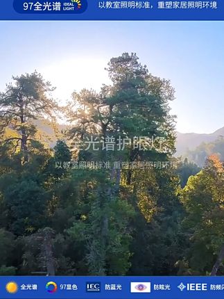 低蓝光护眼全光谱适用超薄儿童LED吸顶灯书房卧室餐厅简约三防