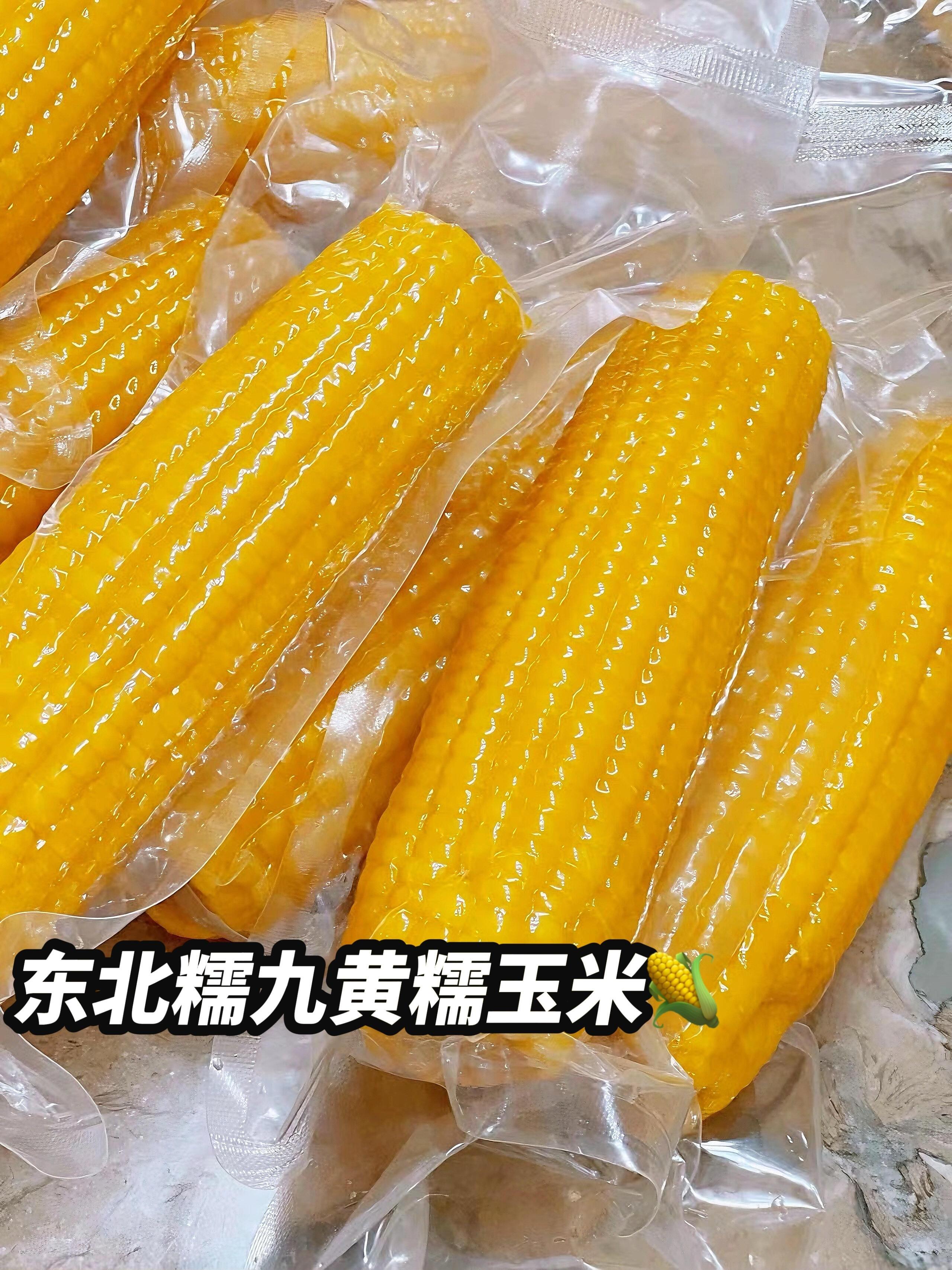 糯到能拉丝!谁能拒绝这根金黄饱满的东北黄糯玉米啊?!🤤#美食 #东北黄玉米 #减脂 #吃瘦不饿瘦 #湫橙