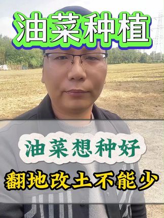 油菜想种好,翻地改土不能少#油菜管理 #油菜种植 #三农 #油菜花