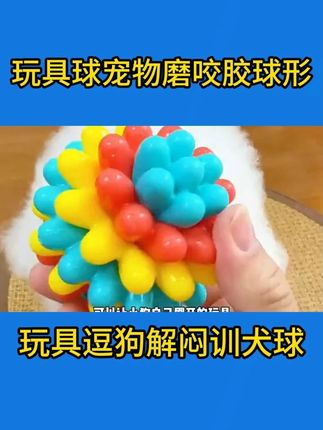 没想到就这么一个小球玩具我家小狗会那么喜欢玩#狗狗磨牙玩具 #狗狗解闷玩具 #狗狗洁牙 #宠物玩具球 #养宠人的治愈谁懂啊
