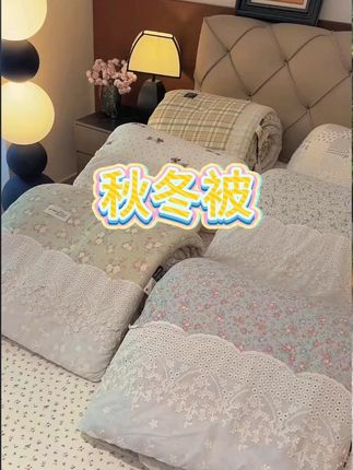 【春田记】2025 秋冬超软A类针织棉法式春秋被冬被可机洗
