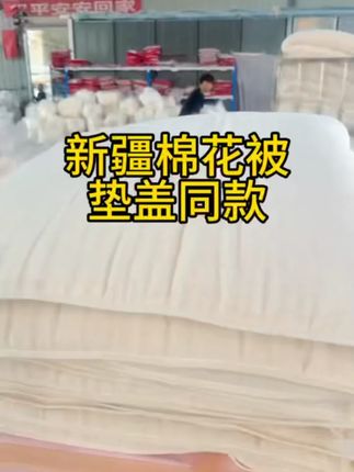 新疆棉花被手摘棉棉被春秋被子加厚保暖棉胎絮褥子冬垫盖同款#家纺床上用品