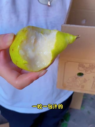 很多人没吃过的烟台#太婆梨 ,老品种,小时候的味道,嘴巴一抿,果肉就融化了, 汁水瞬间布满口腔,一点渣都没有,果肉吃进嘴里如同在喝果汁,喜欢的来看看吧 #优质农产品#新鲜应季水果 #烟台香蕉梨