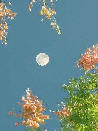 #穿搭#显瘦穿搭#小个子穿搭#夏季穿搭#裤子