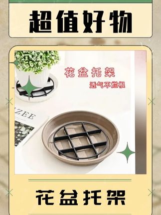 太实用了,既能防止盆底积水烂根 还能增加盆土空气流通#花卉绿植 #盆栽 #花盆 #花卉养护 #园艺