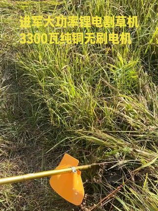 进军锂电割草机 3300瓦大功率纯铜无刷电机,搭配上我们家背包电池轻松续航大半天#割草机 #锂电割草机厂家 #户外 #农用 #园林工具
