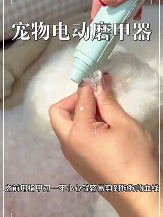 #宠物 #宠物知识 #宠物美容 #好物推荐🔥 #好物种草