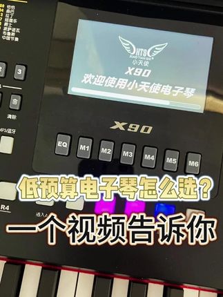 低预算想要演出琴,就用小天使X90#爱音乐爱生活 #小天使X90电子琴 #中老年 #户外演出
