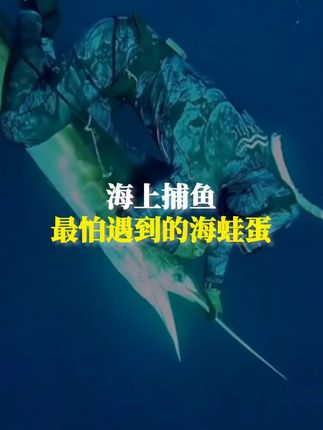 海上捕鱼,最怕遇到海蛙蛋 #涨知识 #科普 #捕鱼