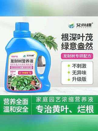 【发财树专用】植物营养液高浓缩绿叶促芽防治黄叶掉叶烂根观叶植物 #发财树专用营养液 #植物肥料 #发财树专用肥 #发财树养护 #发财树浓缩营养液