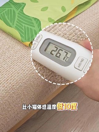 家里毛孩子的夏天,就交给这个人宠都能躺的冰垫啦, 凉而不冰好舒服!#福丸 #宠物冰垫 #新手养猫 #萌宠好物 #养狗经验分享