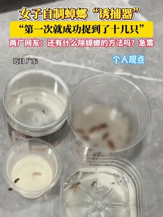 女子自制蟑螂“诱捕器”,第一次使用就成功捉到了十几只!两广网友:还有什么除蟑螂的方法吗?急需#蟑螂诱捕器 #蟑螂 #生活小妙招 (数字)