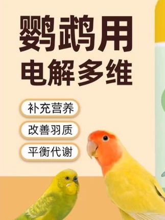 不要长期不给鸟宝喂电解多维#科学养宠攻略 #养鸟经验分享 #萌宠好物 #萌宠日常记录 #鹦鹉鹦鹉萌萌哒逗鹦鹉