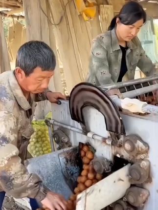#核桃