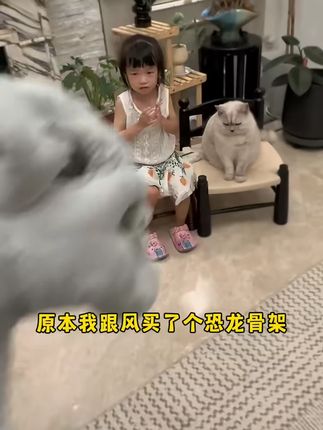 恐龙骨架头套毛绒玩具鹿晗同款儿童外骨骼玩偶成人生日礼物送女生#恐龙玩具 #鹿晗同款 #儿童礼物 #毛绒玩偶 #生日礼品