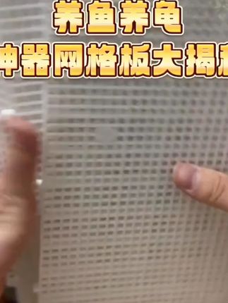 你见过那个养龟大神没有使用这个底滤板的养龟不需要经常换水的~#养龟日常 #养龟人 #水族 #龟箱 #龟缸