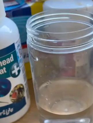 英国正品Waterlife大白片金龙鱼魟热带锦鲤内寄外寄调理 #养鱼日记 #水族 #观赏鱼交叉感染