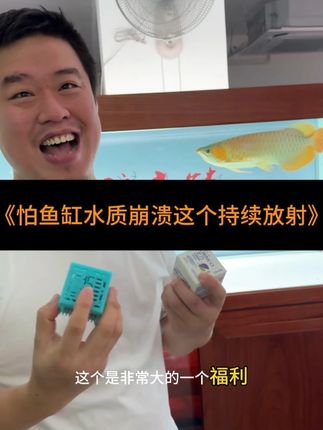 养龙鱼怕死鱼?从稳定水质开始! 玛豆龙方持续维稳,对抗氨氮波动。给爱鱼最安心的保护,养鱼有信心。#鱼缸生态菌 #鱼缸硝化细菌 #养鱼龙方 #鱼缸放射菌 @DOU+上热门