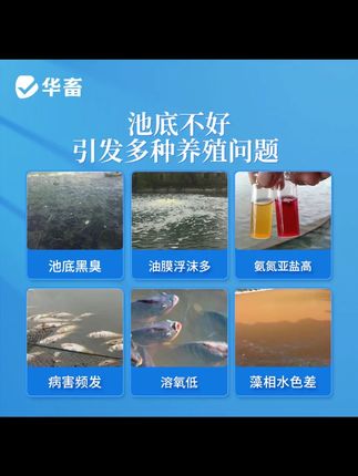 25过硫酸氢钾改底片水产养殖改底净水王底改净水增氧除臭S #精选好物 #日常vlog #强烈推荐