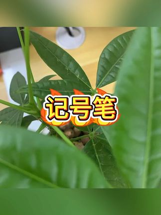记号笔 #学生文具 #划重点 #彩色标注 #大容量 #学习工具
