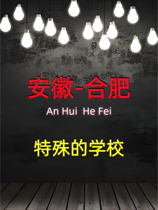 安徽省丨合肥市:特殊的学校! #真实事件#真实故事#我的观影报告#案件故事解说#案件故事