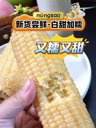 东北农嫂的白甜糯玉米是真好吃, 特别管理期的宝子,可别再错过了,甜糯交织,一口沦陷#东北黏玉米 #好吃的玉米推荐 #粗粮 #甜糯玉米 #好吃到停不下来