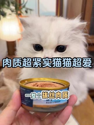 鲜朗主食湿粮礼包 2个主食餐包和1个主食罐头 猫咪嘎嘎爱吃 每人仅限一单#猫咪罐头 #鲜朗 #鲜朗新鲜宠食 #鲜朗主食罐 #猫咪餐包