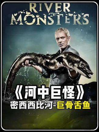 杰瑞米瓦德:亚马逊河流中最凶猛的鱼类巨骨舌鱼! #科普 #野外垂钓 #钓鱼 #杰瑞米瓦德 #户外