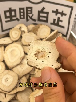白芷一定不要选到硫磺熏过的白芷,不仅做菜有酸味关键不健康。换成无硫的大片白芷,需要的可以来直播间#调味料 #香料 #白芷 #健康 #八桂香料之都