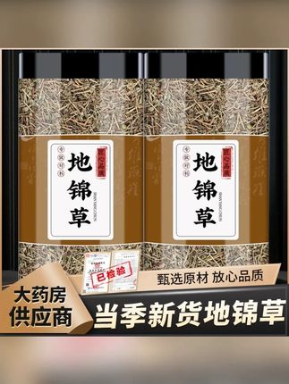 地锦草新鲜奶浆草红丝草小飞杨草铺地红泡茶水 #地锦草 #奶浆草 #地锦草泡水 #养生茶
