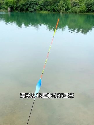威拓森浅水专用漂,钓浅水鲫鱼浅水草洞或者是浅水鲢鳙都能用 #浮漂鱼漂#浮漂的选择