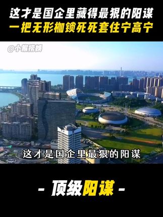 国企里最狠的阳谋 #人物志#商业思维#宁高宁#国企