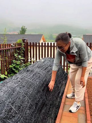 【拱棚支架】保温棚防虫网支架玻璃纤维杆蔬菜农业种植大棚拱棚支架#拱棚支架 #蔬菜种植 #保温棚 #防虫网支架 #玻璃纤维杆