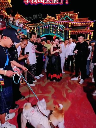 河南狗王空降木森大舞台,学狗叫太像了!#木森#木森大舞台#人气爆棚#户外直播现场#搞笑