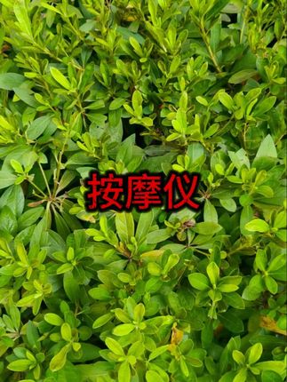 #全身按摩 #颈椎护理 #按摩仪器
