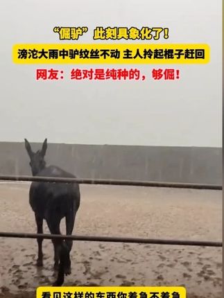 #穿搭 #显瘦穿搭 #小个子穿搭 #夏季穿搭 #裤子 wq5