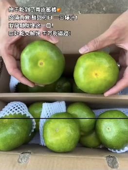 终于吃到了青皮蜜橘,皮薄肉嫩酸甜可口!我孕期就馋这一口!#青皮橘子 #橘子 #优质农产品 #口感特别好 #当季水果