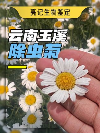 无穷小亮的科普日常