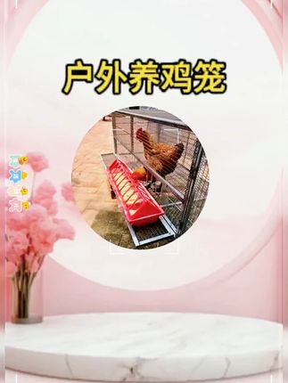 #养殖 #养鸡笼 #结实耐用 #好物推荐 ?